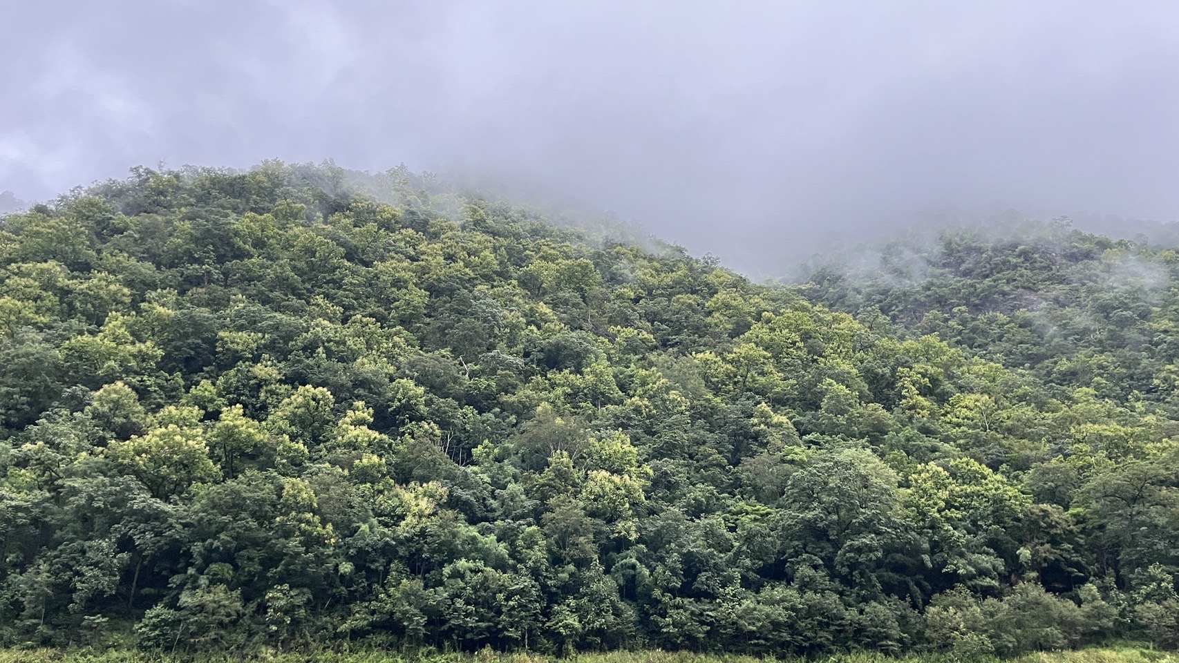 105 - https://แพศรีอุดมทรัพย์.com | ล่องแพศรีอุดมทรัพย์เหนือเขื่อนภูมิพล เพลิดเพลินกับธรรมชาติสองฝั่งทะเลสาบแม่ปิง ชมป่าไม้ น้ำตก ถ้ำ และโบราณสถาน ตลอดเส้นทาง 160 กม. จากตากสู่ดอยเต่า เชียงใหม่