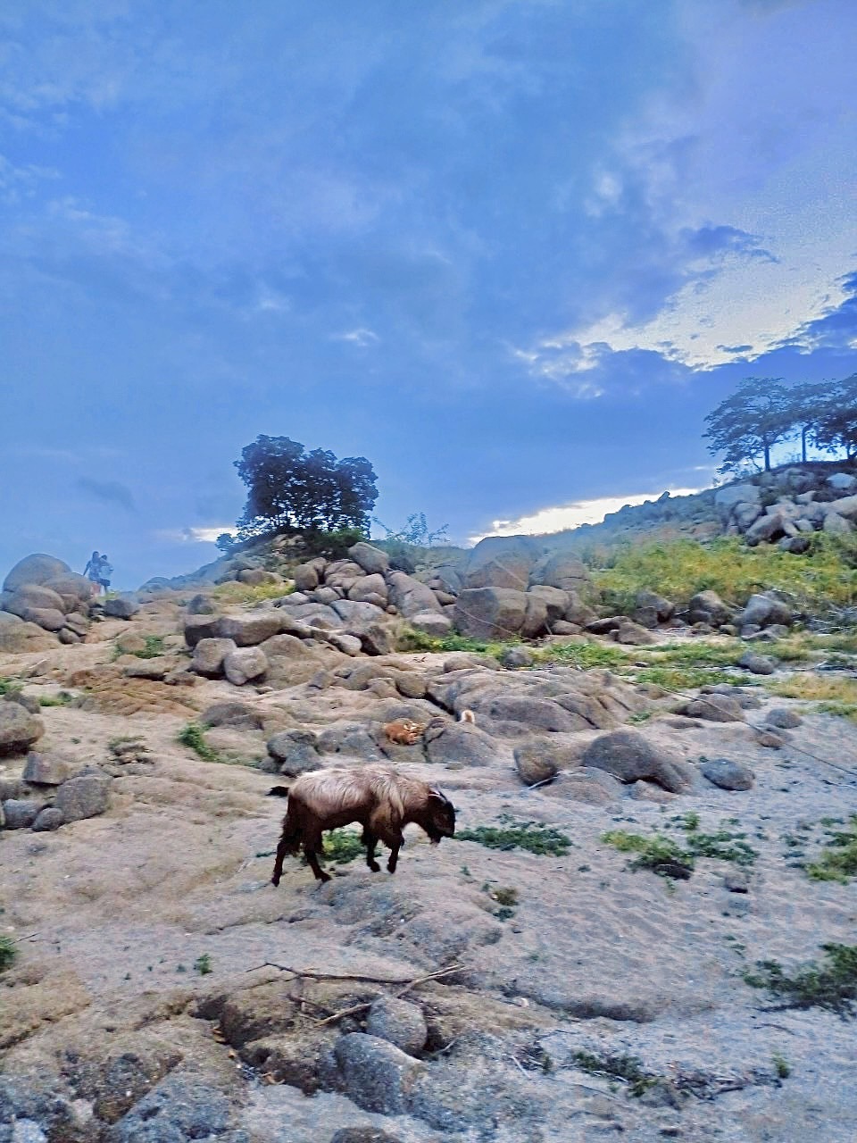 73 - https://แพศรีอุดมทรัพย์.com | ล่องแพศรีอุดมทรัพย์เหนือเขื่อนภูมิพล เพลิดเพลินกับธรรมชาติสองฝั่งทะเลสาบแม่ปิง ชมป่าไม้ น้ำตก ถ้ำ และโบราณสถาน ตลอดเส้นทาง 160 กม. จากตากสู่ดอยเต่า เชียงใหม่