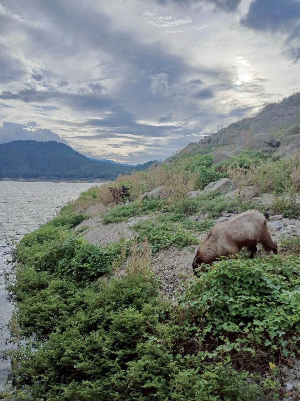 96 - https://แพศรีอุดมทรัพย์.com | ล่องแพศรีอุดมทรัพย์เหนือเขื่อนภูมิพล เพลิดเพลินกับธรรมชาติสองฝั่งทะเลสาบแม่ปิง ชมป่าไม้ น้ำตก ถ้ำ และโบราณสถาน ตลอดเส้นทาง 160 กม. จากตากสู่ดอยเต่า เชียงใหม่